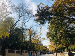 -八大关景区
