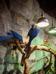 -Zoolung Zoolung动物主题公园(海信广场店)