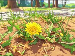 -森林公园(尖草坪区)
