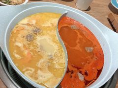 -青瓷火锅料理(西单大悦城店)