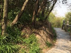 iphone_upload_pic-灵岩山风景区