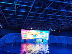 -海合安青岛极地海洋公园