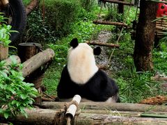 -黔灵山公园