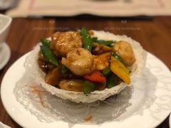 -云龙轩(迪士尼探索家度假酒店)