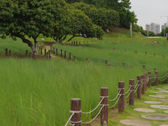 -红花山公园