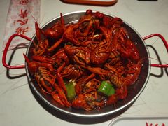 -杨氏青龙虾·羊蝎子(金盛路总店)