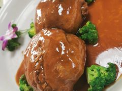 -丁老爷子苏香圆