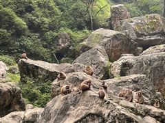 -三峡人家风景区