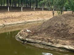 -东郊湿地公园