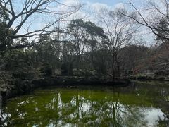 -秋霞圃