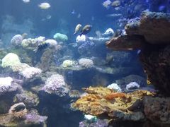 -北海·海洋之窗