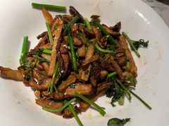 绝味菌黄-奉天小馆·非遗东北菜(济南万象城店)