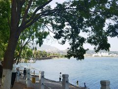 -阳宗海湿地