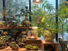 -自由生长植物工作室(深港花卉中心店)