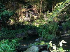 -绿光森林餐厅