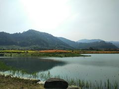 -径山花海