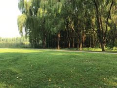 -昆山城市生态森林公园