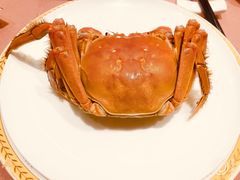 -王宝和酒家(黄浦店)