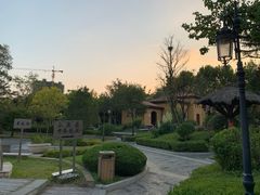 -青岛香根温泉酒店