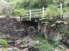 -桑洲油菜花景区