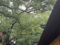 -普陀山风景名胜区-法雨禅寺