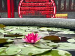-慈恩寺