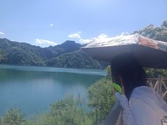 -望湖烤鱼
