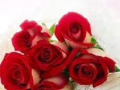 -静岸花卉园艺(三星坊店)