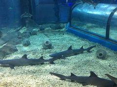 -福州罗源湾海洋世界旅游区