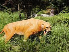 -周口店北京人遗址公园