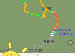 -大岭沟猕猴桃谷风景区