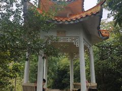 -风云岭森林公园