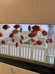 -杭州贝瑞斯美华妇儿医院·早孕·产检·儿科