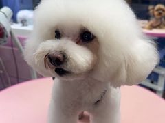 -FAELING PETS美天灵宠物(富力广场店)