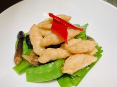 -觅唐MITONG(鸟巢店)