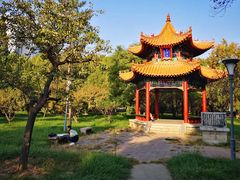 -曲阜师范大学(曲阜校区)