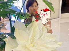 -成都阿姨到家月嫂育儿嫂(华西店)