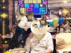 -芭菲盛宴·环球美食(北城国际店)