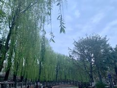-温江公园