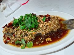 -杨氏青龙虾·羊蝎子(托乐嘉店)