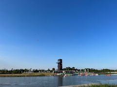 -春花秋色城市公园