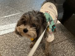 -Dal Cuore 达可芮冰淇淋(陕西北路店)