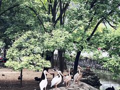 -黔灵山公园