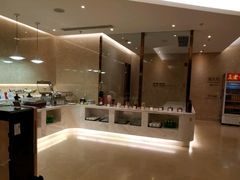 -郑州新郑国际机场T2航站楼-贵宾厅B区