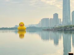 -深圳人才公园