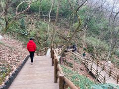 -天目湖山水园