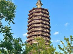 -西海子公园