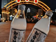 -武汉知音号