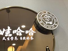 -娃哈哈奶茶(富阳鹿山时代店)