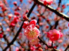 -鹫峰国家森林公园